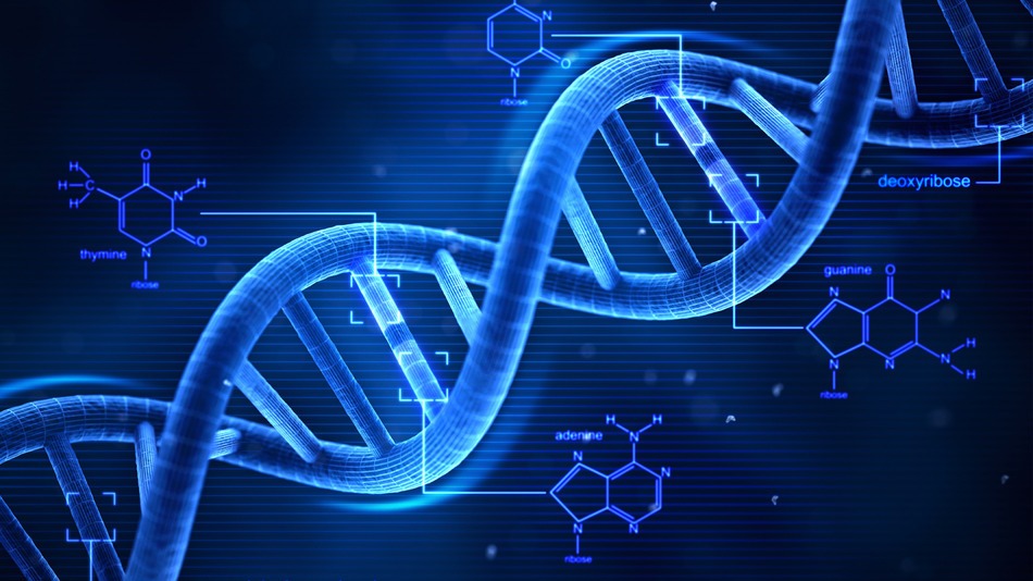 Change your genetics with biogenesis